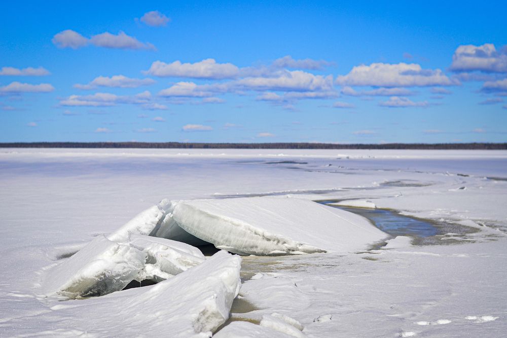 Photograph by Сергей Комаров