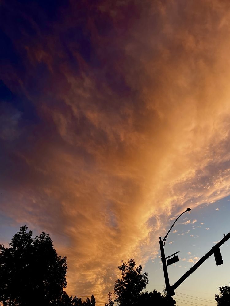 Photograph by  Erika Tinoco