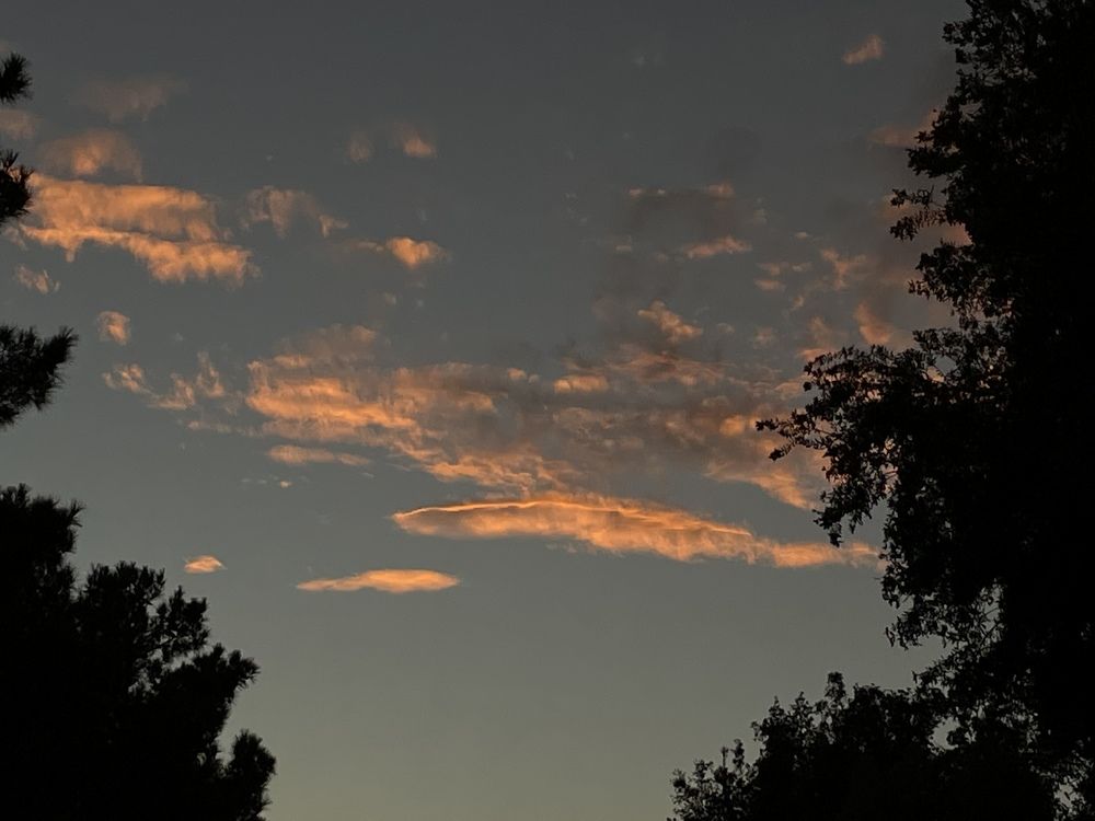 Photograph by  Erika Tinoco