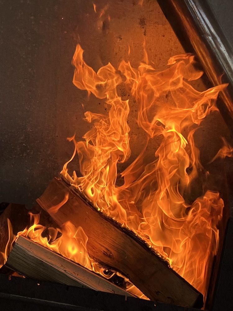 Photograph by Елена Мусина