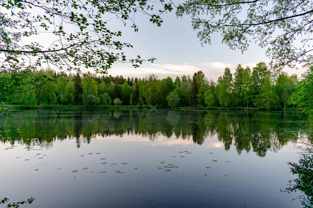 Photograph by Наталья Вялых