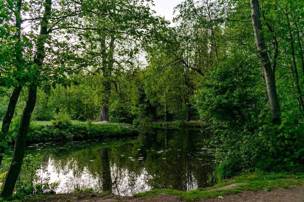 Photograph by Наталья Вялых