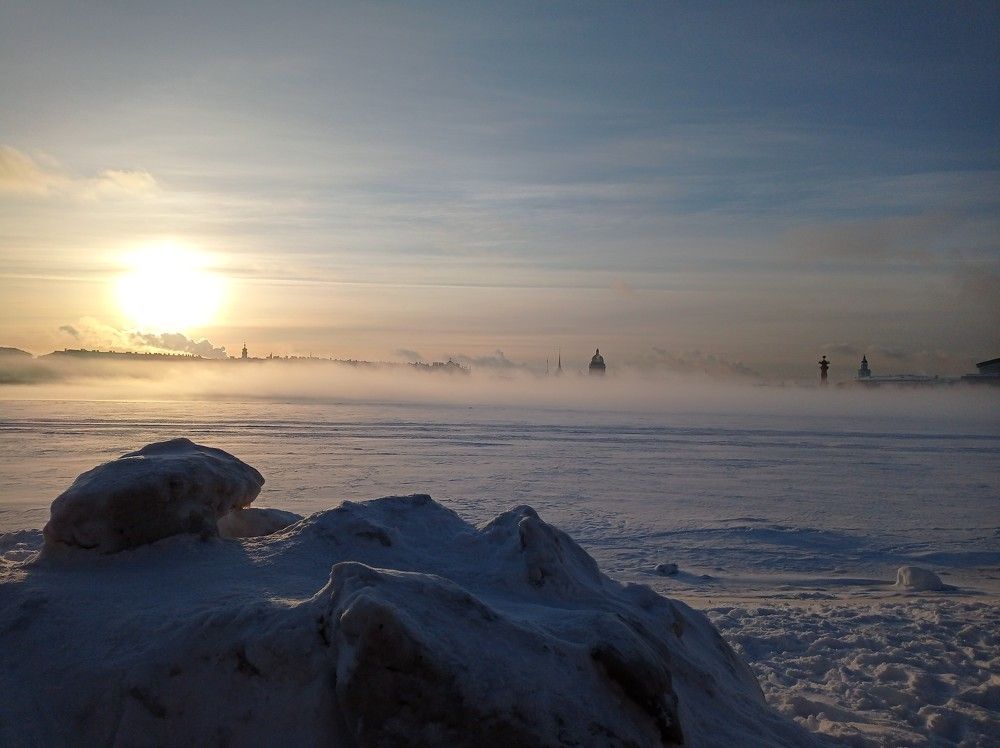 Photo #8421526