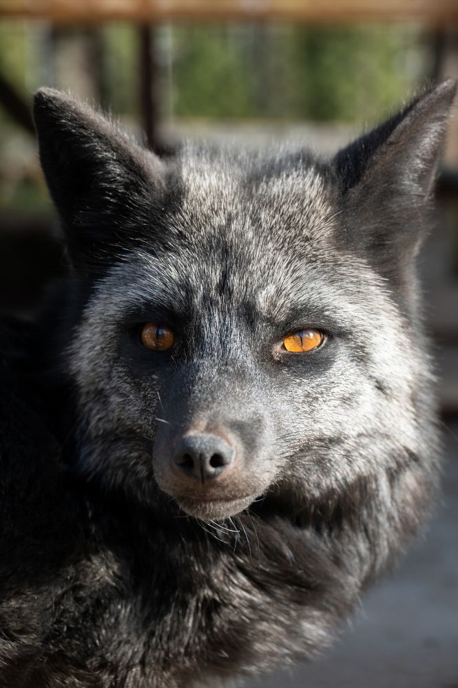 Photograph by Вика Нова