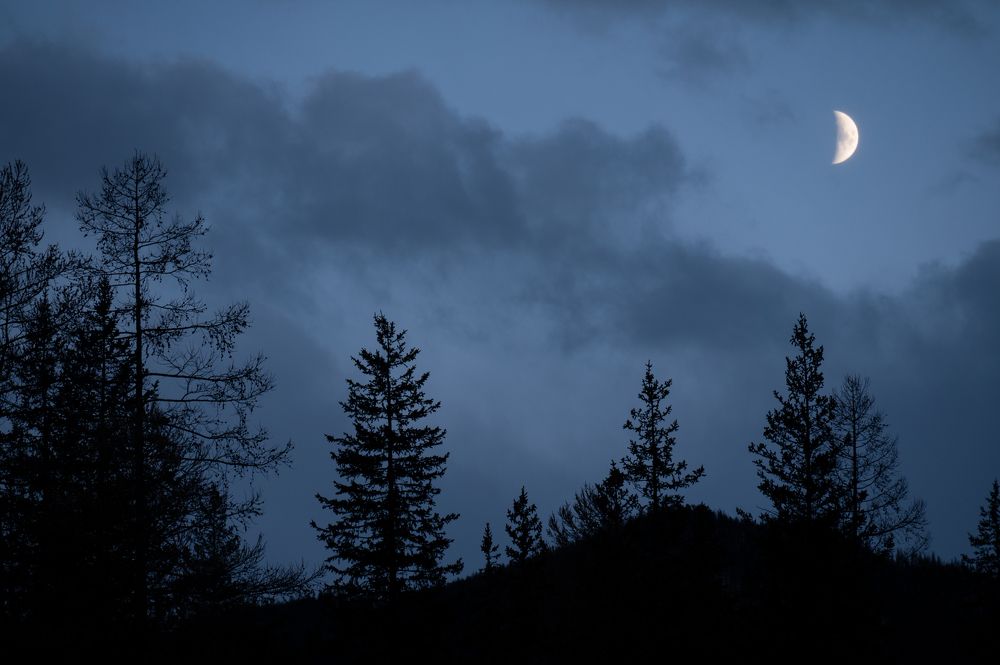 Photograph by Вика Нова