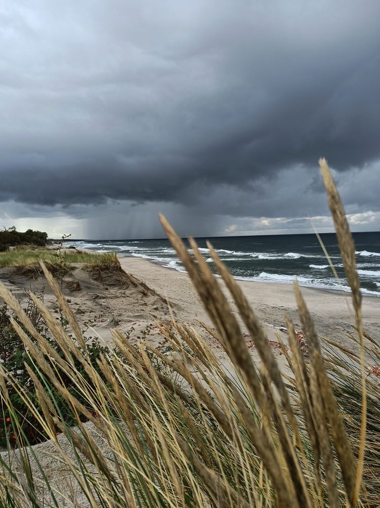 Балтийская коса