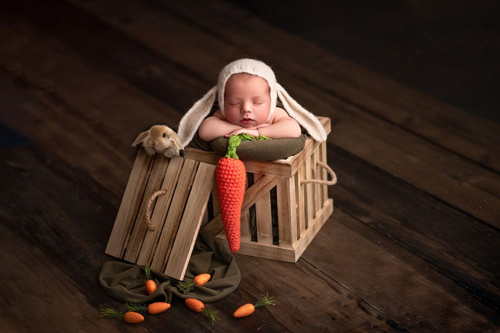 Фотография автора ANGELA SAURA