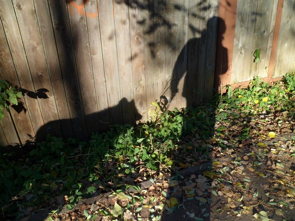 Photograph by Ольга Лысенко