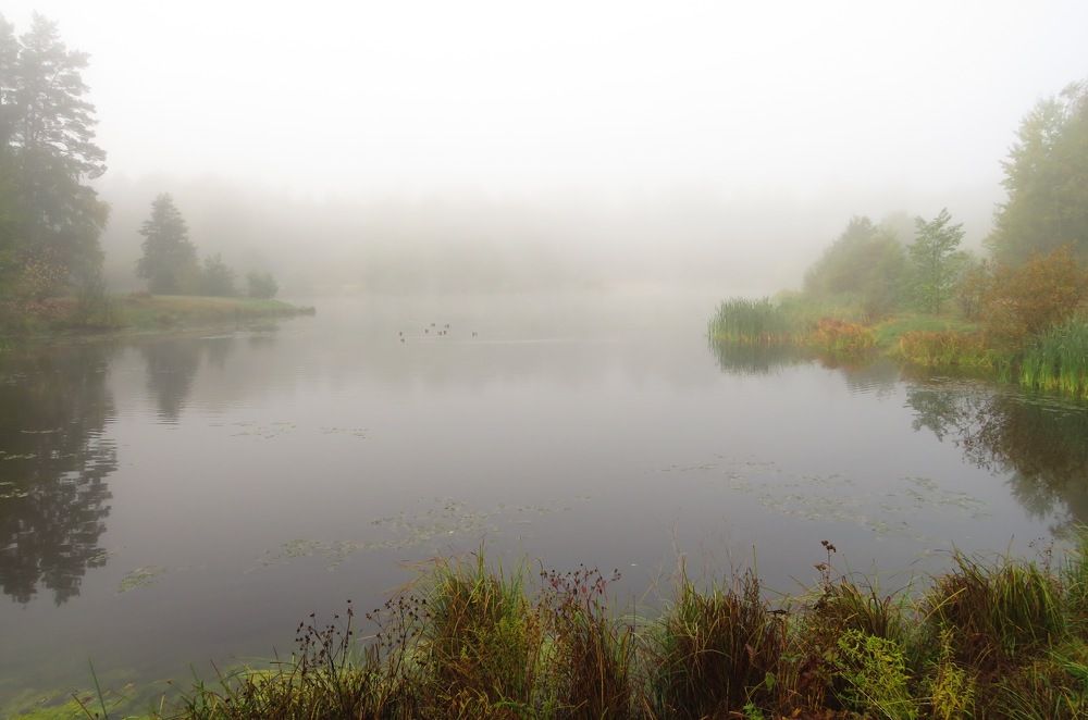 Озеро в туманной дымке