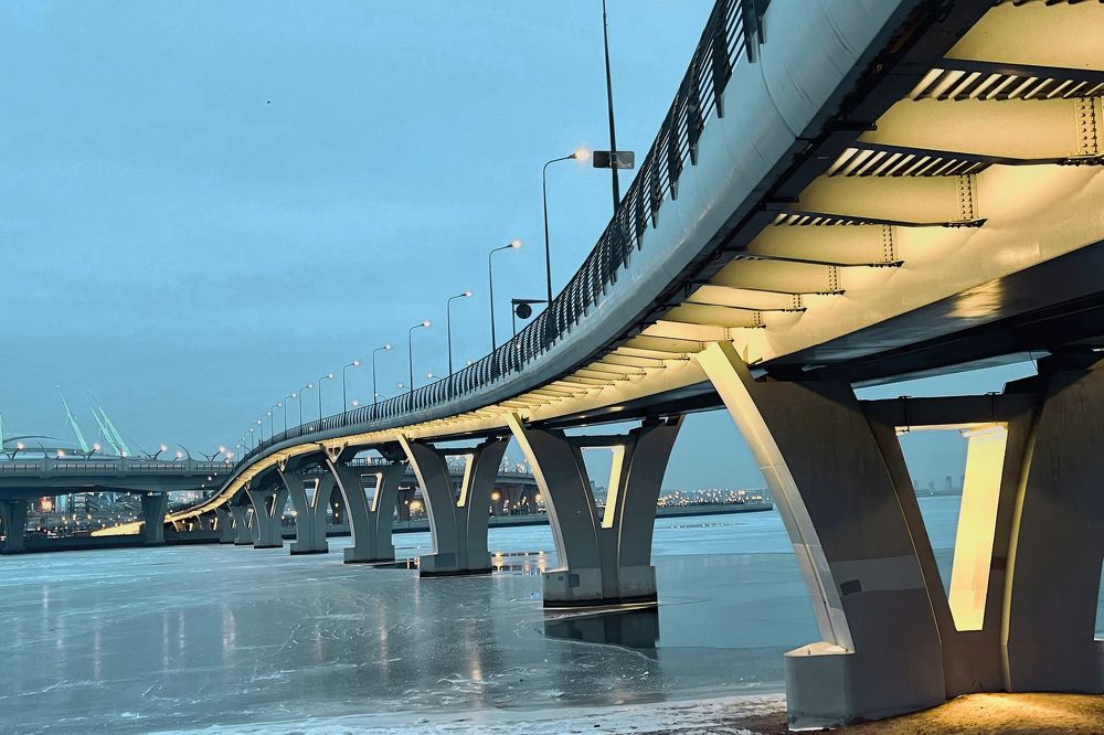 Желтая змея