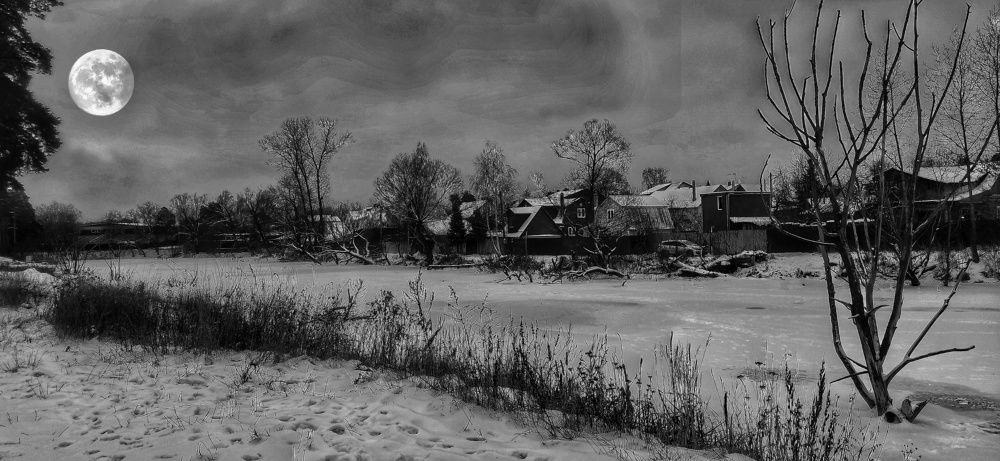 Photograph by vladimir