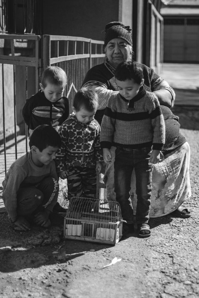 Photograph by Гузель Назарова