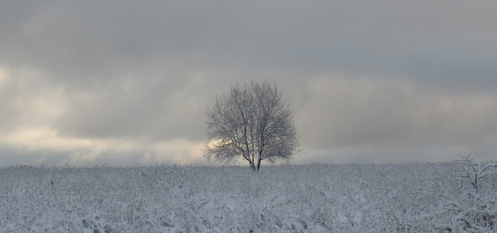 Photograph by Большаков Игорь