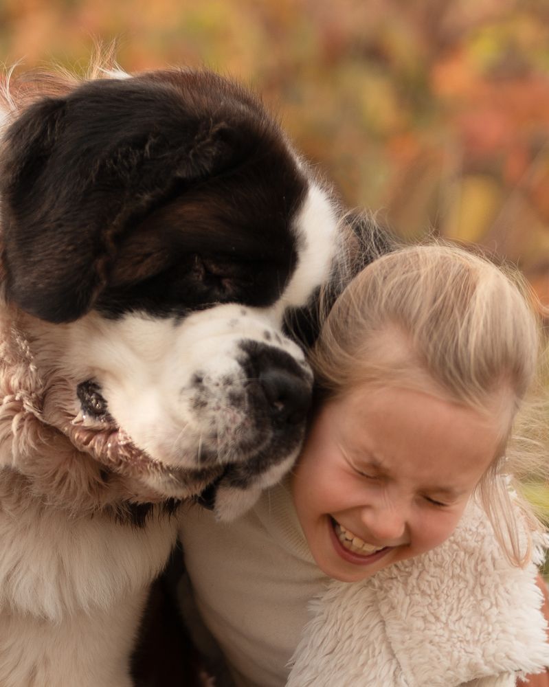 Photograph by Сергей Кужелев