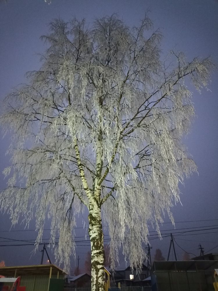 Photograph by Корень Наташа