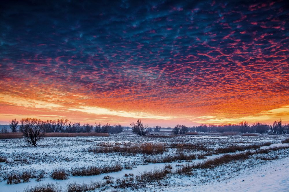 Photograph by Samir Kurtagić