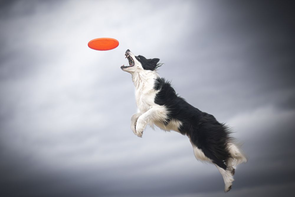 Photograph by Barbora Holinková