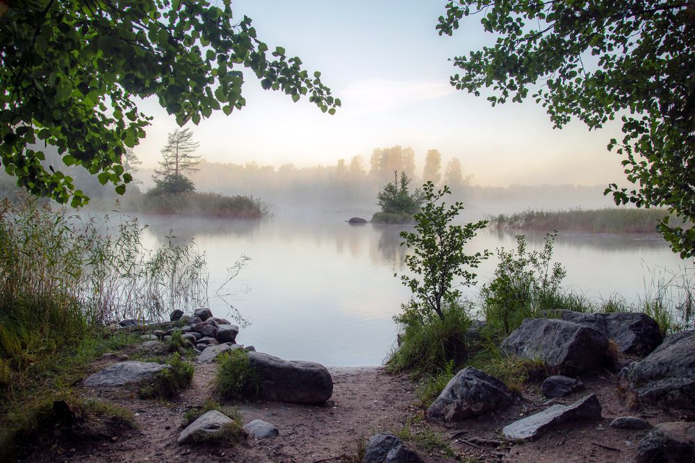 Photograph by Ольга Егунова