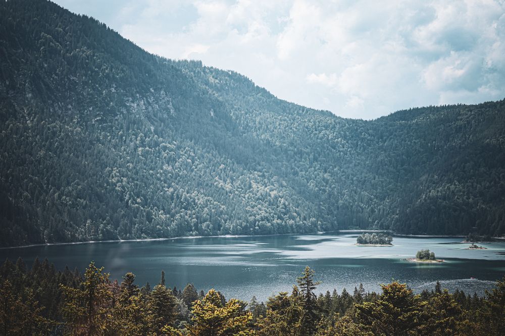 Photograph by Виктория Янушанис