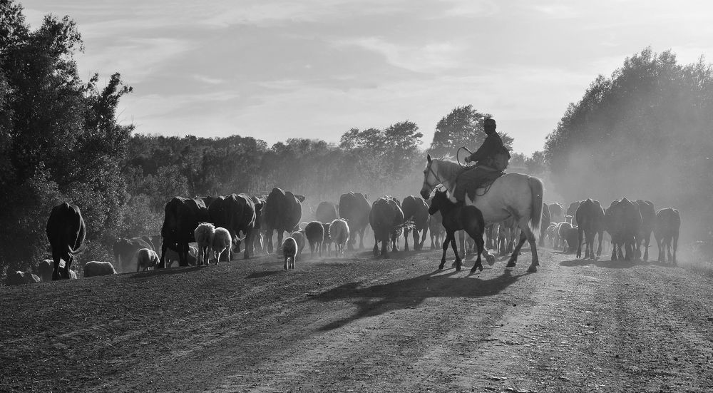 Photograph by Илфир Исламгазин