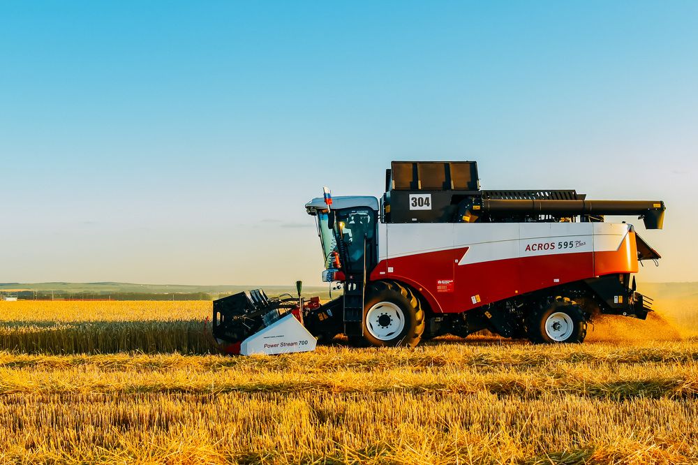 Photograph by Елена Сиушова