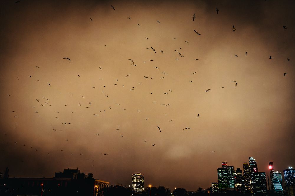 Photograph by Gevork Gukasyan