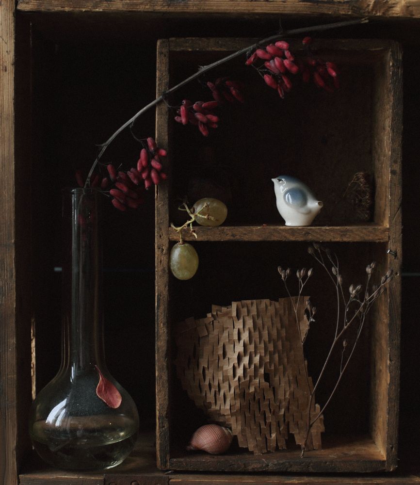 Photograph by Мария Сапего