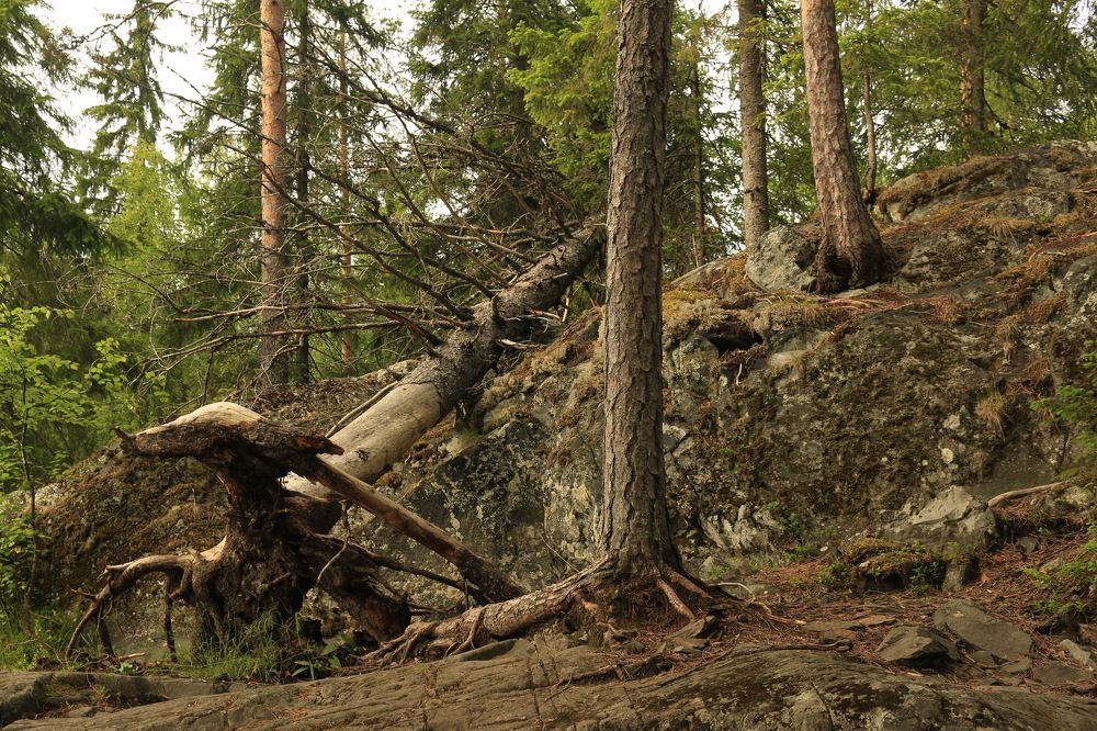 Photograph by Alecsandr Sarbaev