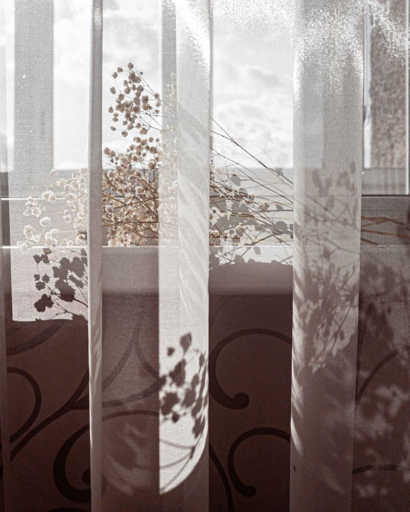 Photograph by Татьяна Соколовская