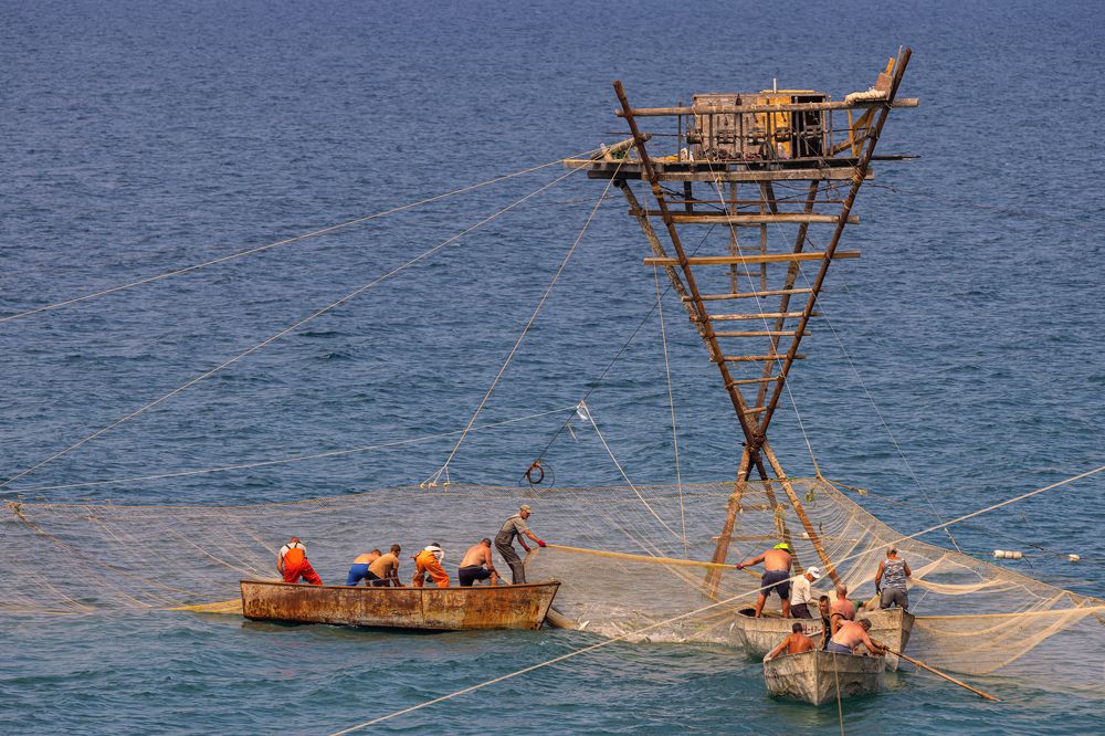 Photograph by Сергей Максимов