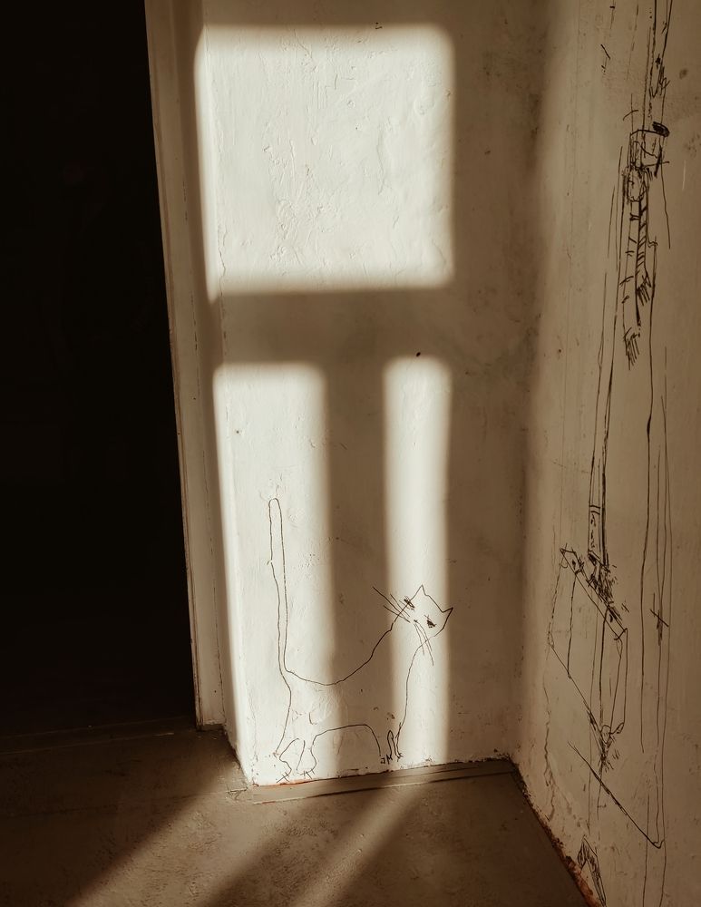 Фотография автора Екатерина