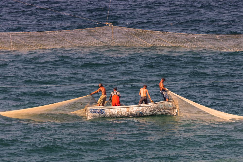 Photograph by Сергей Максимов