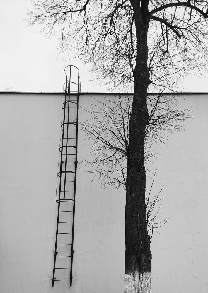 Фотография автора Екатерина