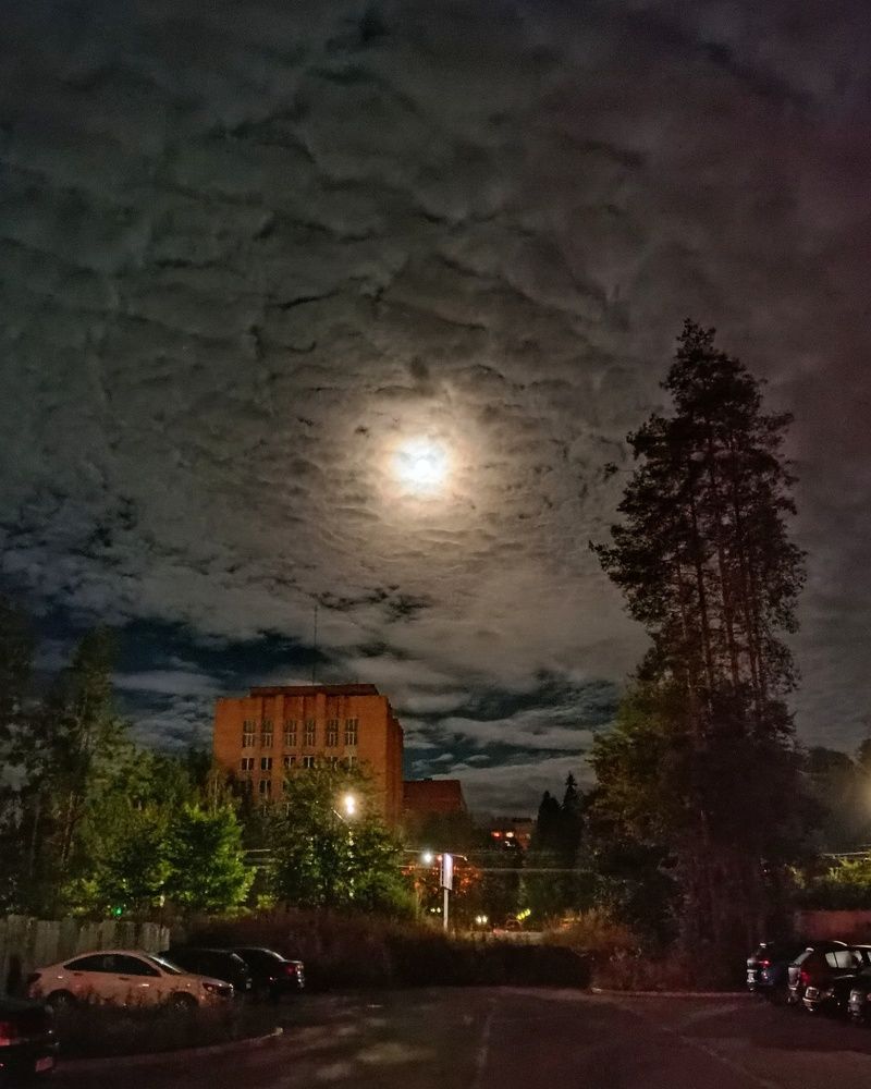 Photograph by Ольга Рогозина