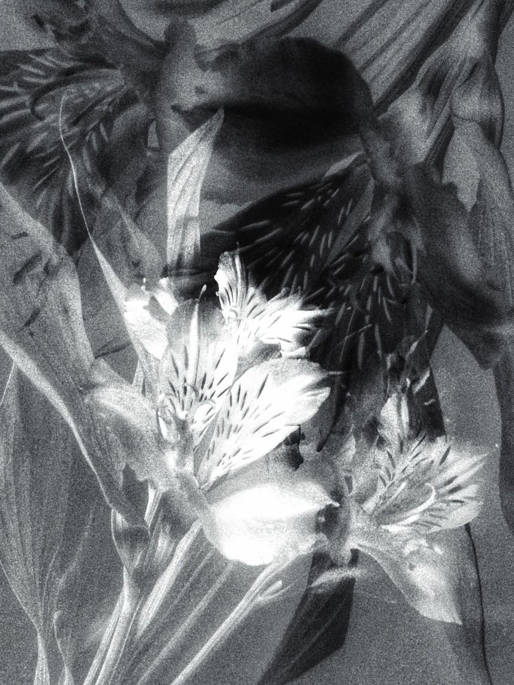 Photograph by Александра Кропивка