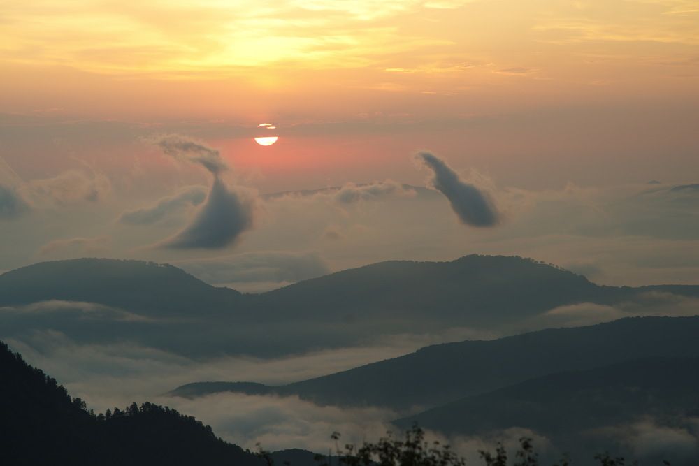 Фотография автора Медведев Сергей