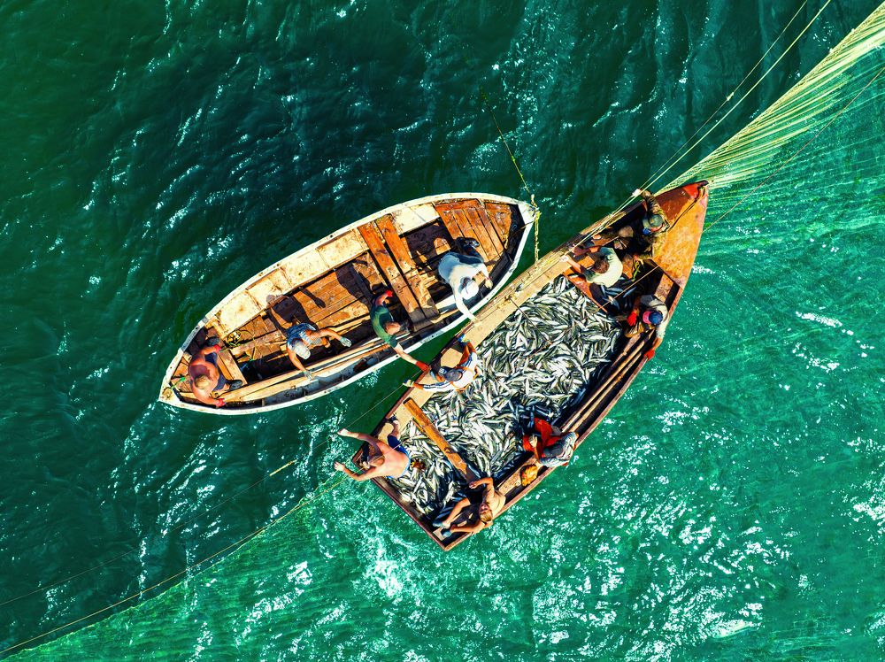 Бухта Кипчак, Крым. Рыбалка