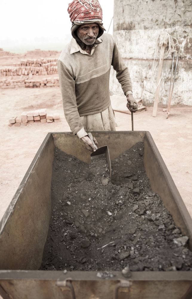 Фотография автора ZILL NIAZI