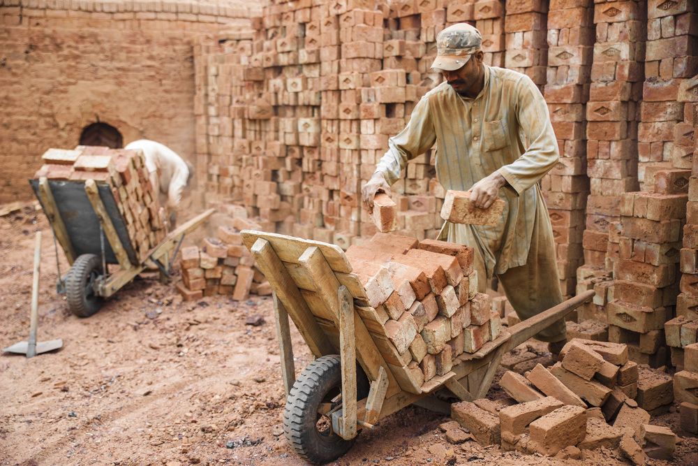 Фотография автора ZILL NIAZI