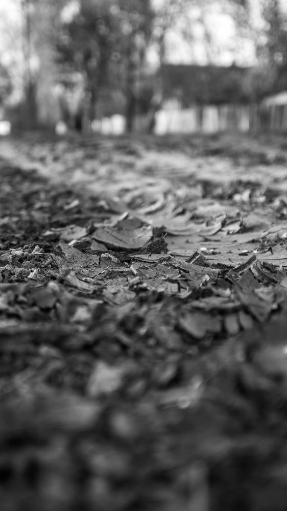 Photograph by Иван Полиненко