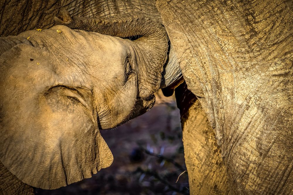 Photograph by Vita Potomova