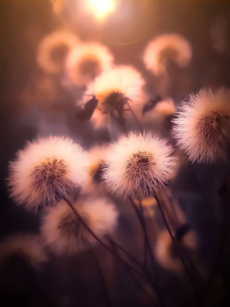 Photograph by Александр Деркач