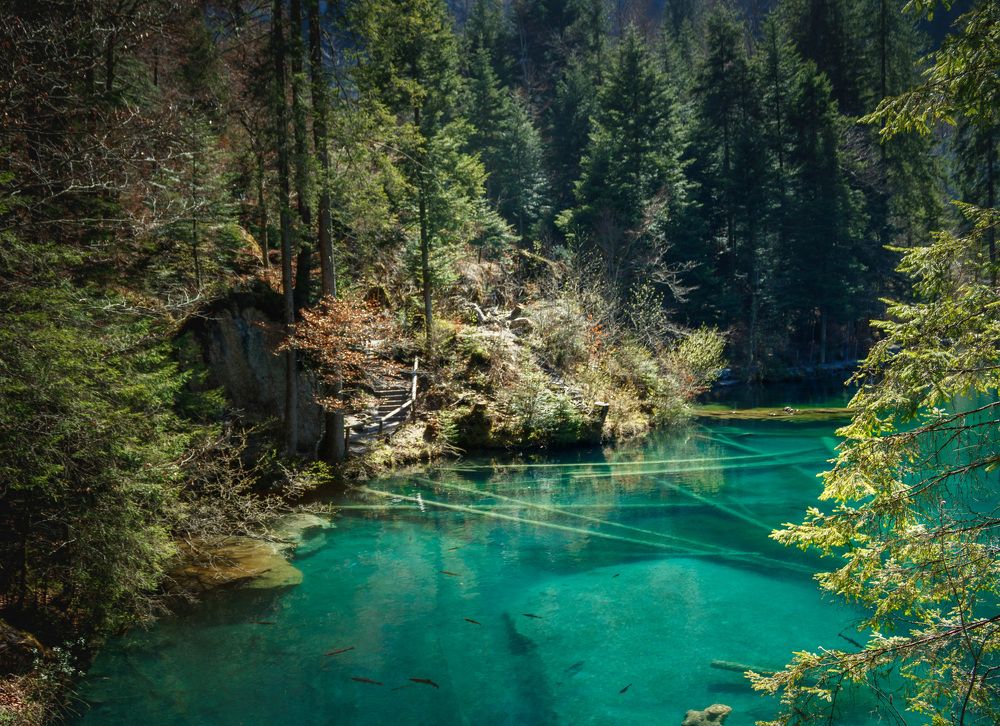 Photograph by Mariia Muratova