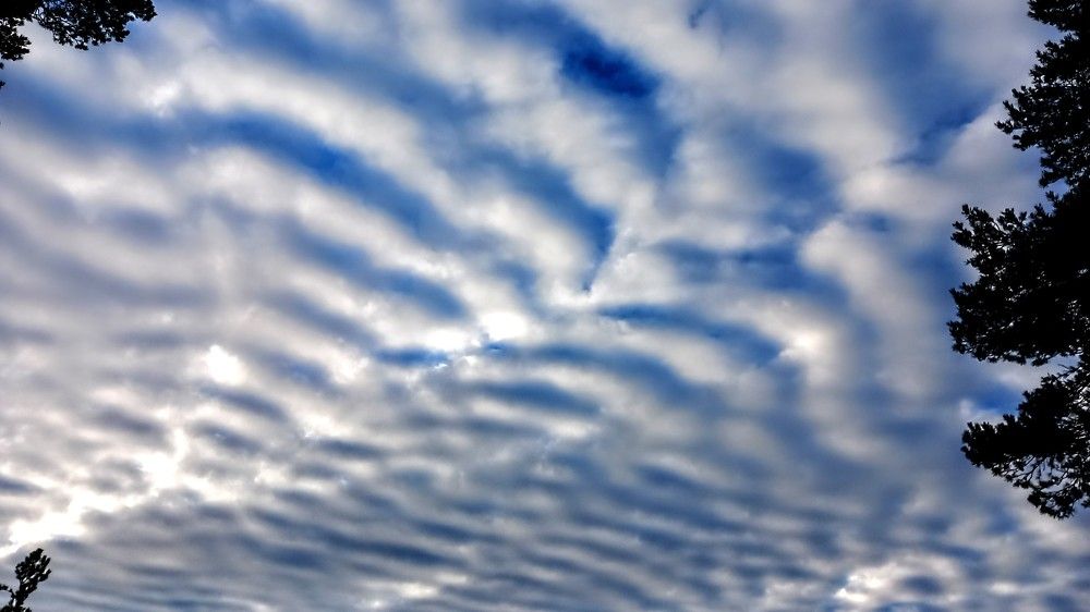 Фотография автора Elena Burgstaller