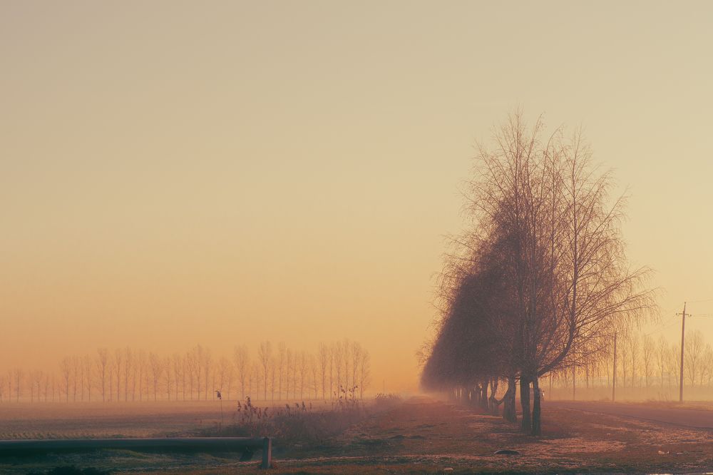 Photograph by Иван Новиков