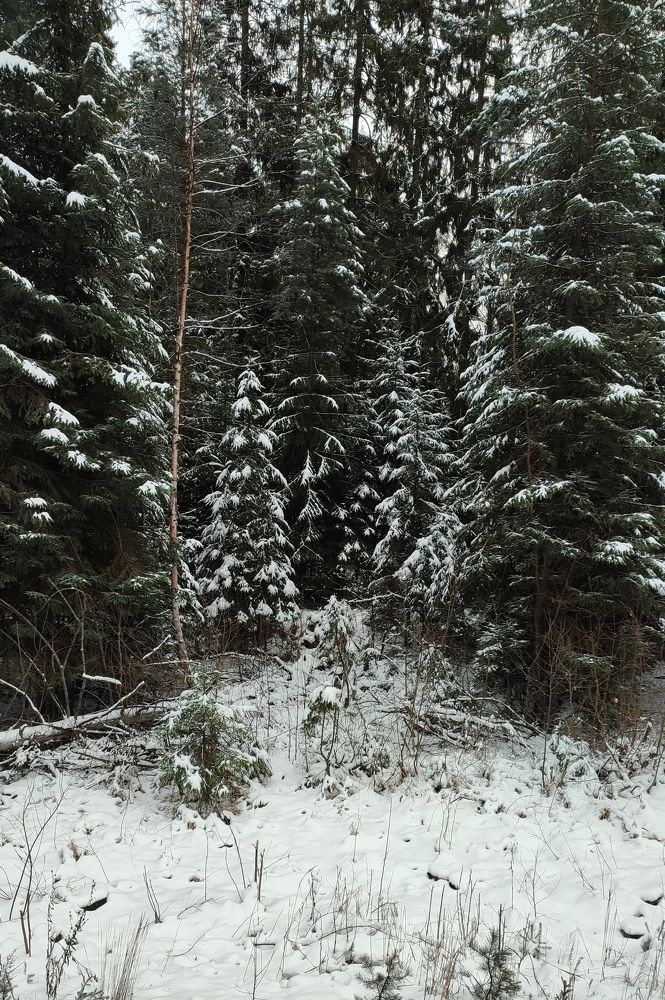 Photograph by Шило Сергей