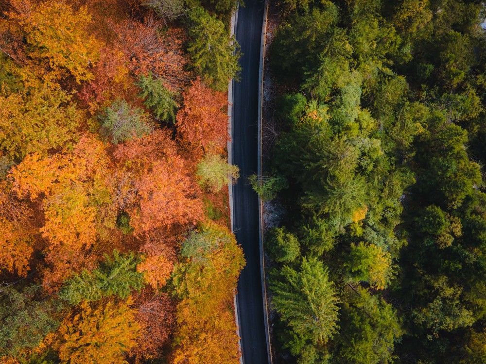 Фотография автора Kristijan Males