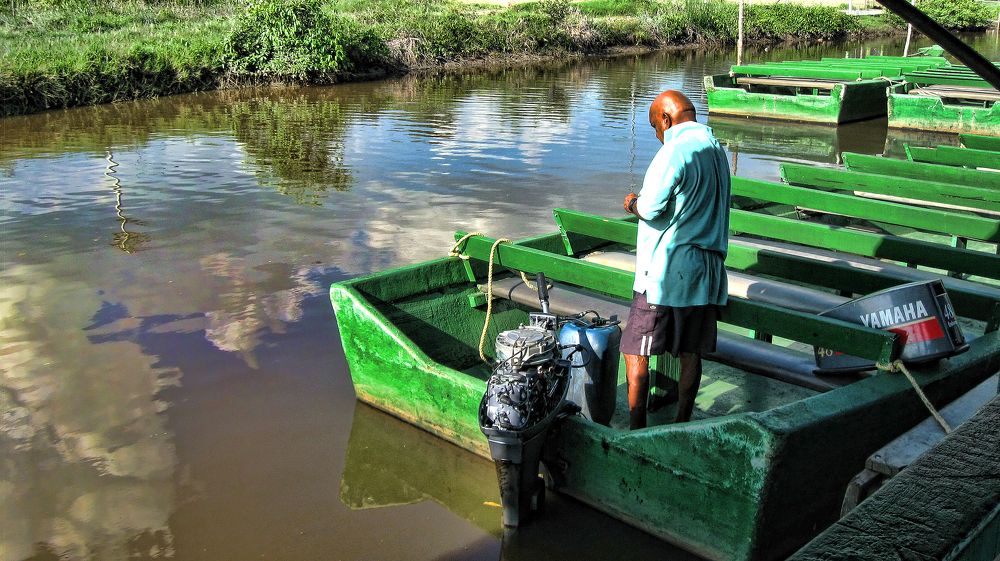 Photograph by Hilary McShine