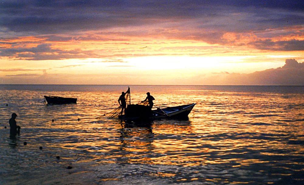 Photograph by Hilary McShine