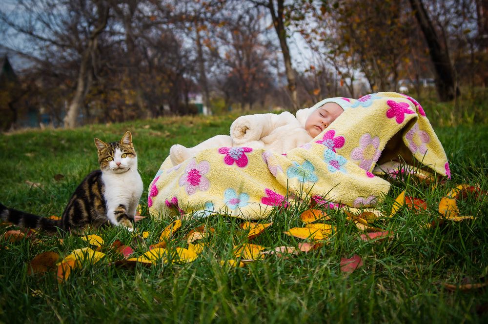 Фотография автора Ксения Смирнова